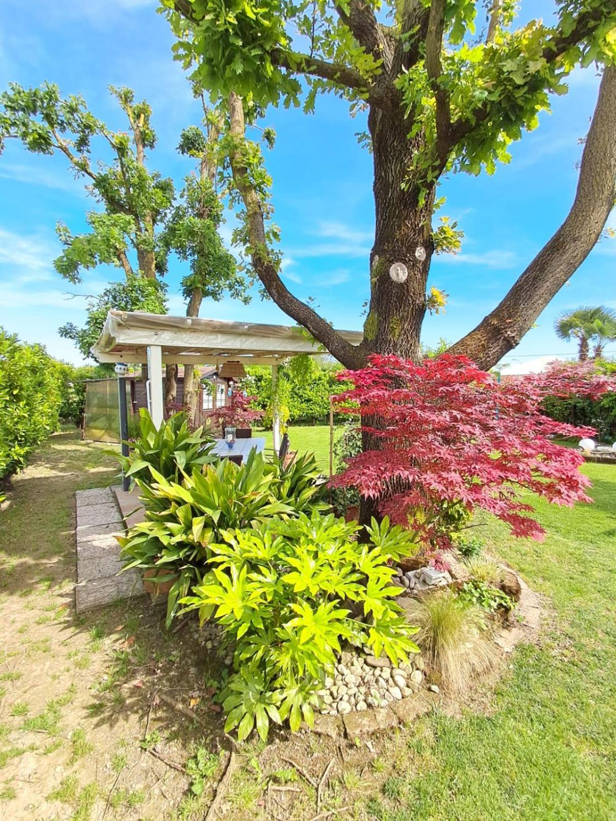 Villa Sabry Turriaco Dış mekan fotoğraf